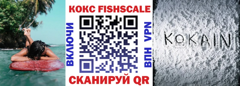 Cocaine FishScale  блэк спрут как войти  Сретенск 