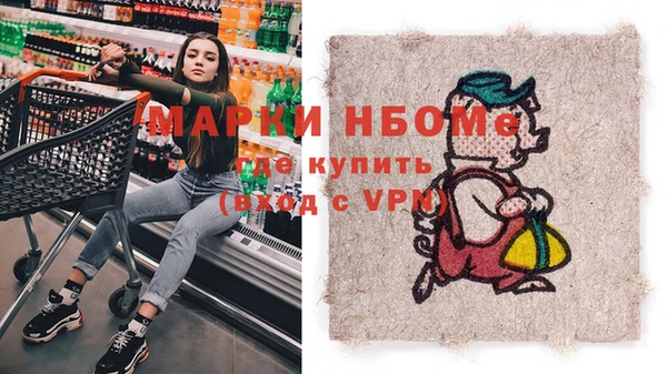 индика Волосово