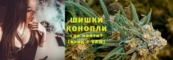 гашик Бронницы